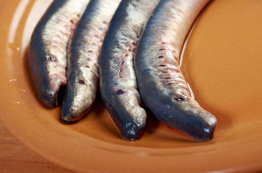 Fresh fish lamprey  on  plate. closeup