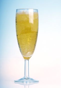  Closeup of the bubbles in a glass of champagne on white background