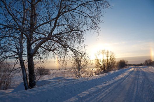 Road in a countryside in sunny winter rainbow day.Frozen trees in snowy field
