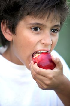 Boy eating an apple