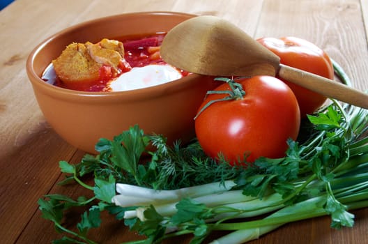 ukrainian and russian red-beet soup (borscht) with garlic and sour cream