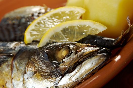 Mackerel on a grill. Fish prepared  with vegetables
