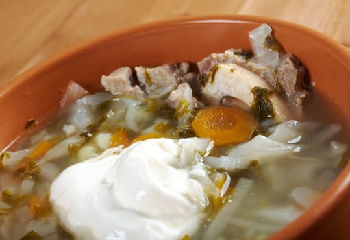  Russian national cabbage soup - Green sorrel   stchi with sour cream
