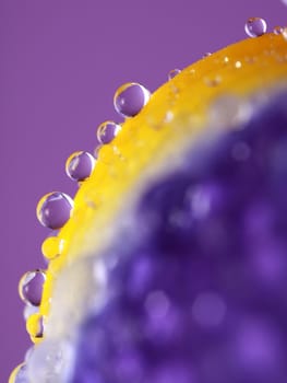 Detail of a pretty and primaveral purple flower