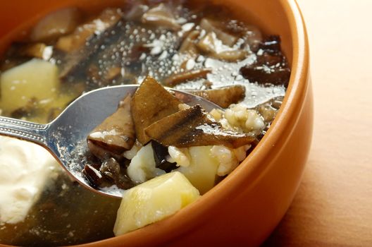 Russian sauerkraut soup with mushrooms and pearl barley.home made mushroom soup