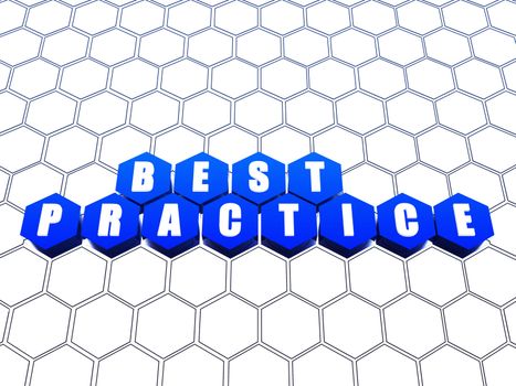 Best practice blue hexagons over white net
