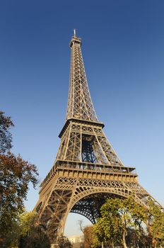 View at Eiffel Tower from the Champ de Mars (Field of Mars)