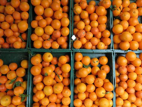 Fresh oranges on the market placed in boxes