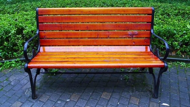 Wooden chair in a park
