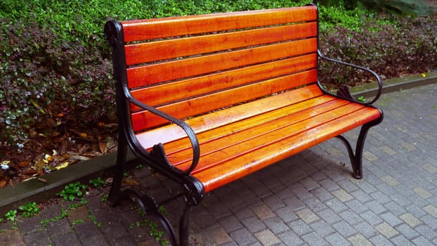Wooden chair in a park