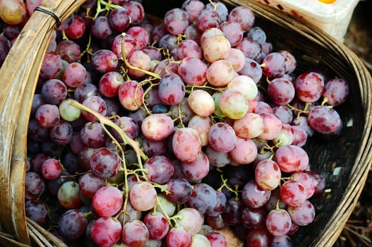 Fresh grapes in a bamboo basket