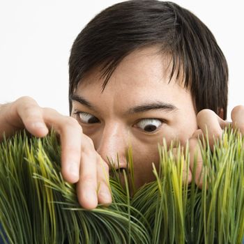 Asian young man looking through grass with determined expression.