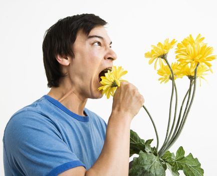 Asian young man eating bouquet of yellow gerber daisies.