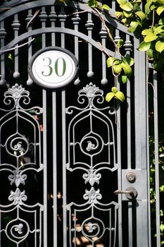 Iron door with the number 30 and some green