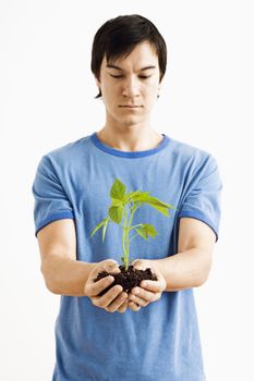 Asian man standing looking at growing cayenne plant.