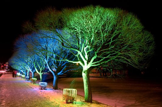 Christmas lights of the trees