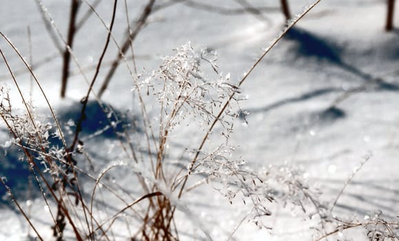 Ice slick on the grass in sunny day close up