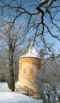 Tower and winter trees in sunny day