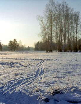 Winter landscape in cold sunny day