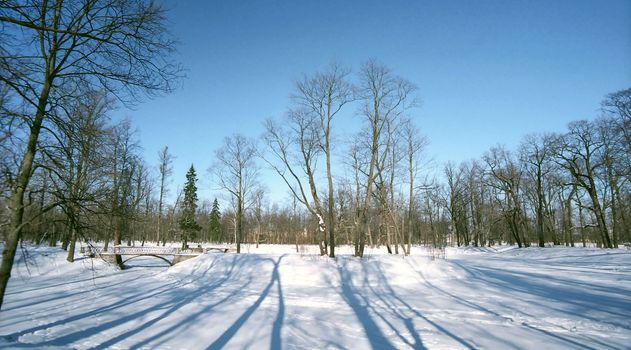  Winter landscape with snowed pond and bridge