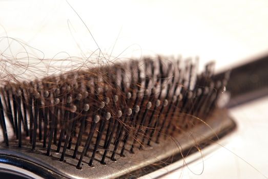 damaged hair on comb