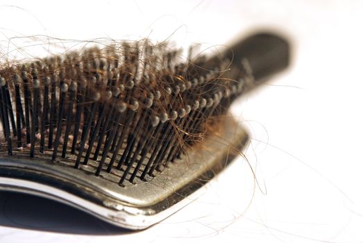 damaged hair on comb