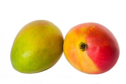 Two mangoes, isolated