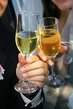 Groom and Bride hold glasses of champagne