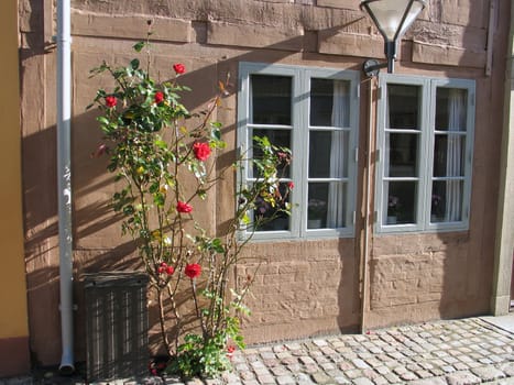 Fragment of an typical country farm house decorated with flowers