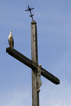 the stork is standing on cross