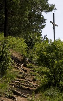 cross on edge of forest