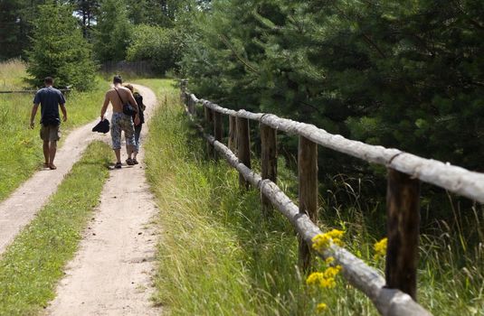 tourists are going with road through forest