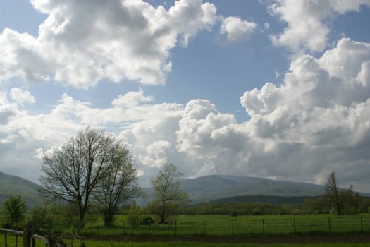 Landscape with blue sky and green herb