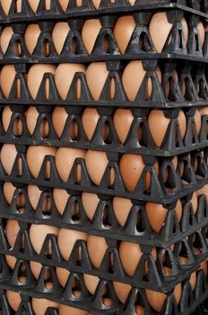 A picture of hen eggs rows pattern box food background