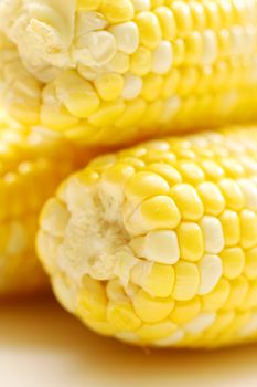 Corn close-up.