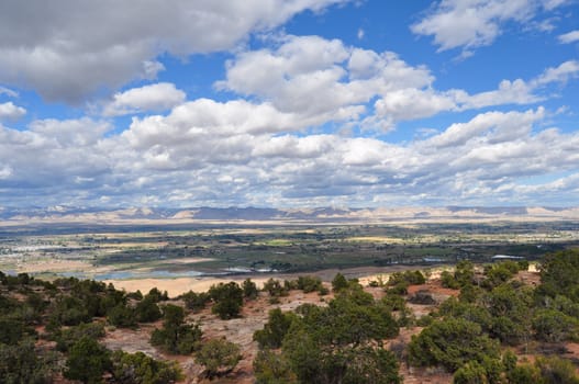 Blue sky and trees are in the landscape view with mountains in the background on the horizon. Shot at the Colorado National Monument Park in Fruita, Colorado.