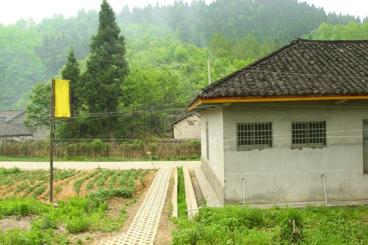 Houses and farmland in rural area of China