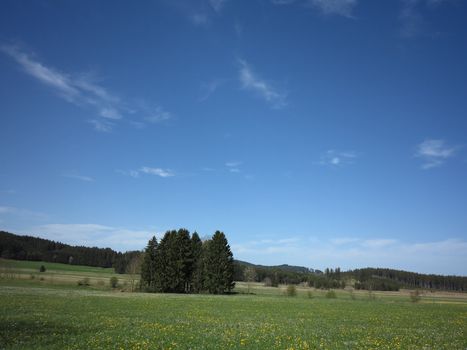 Green field with spring landscape