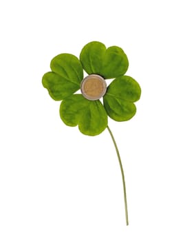 a four-leaf clover and his heart represented in euro