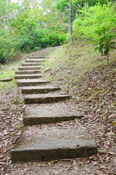 Hiking trail in Hong Kong