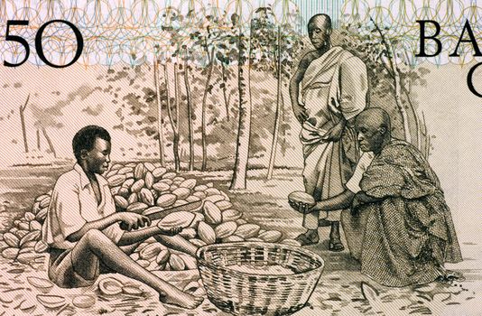 Men Splitting Cacao Pots on 50 Cedis 1980 Banknote from Ghana.