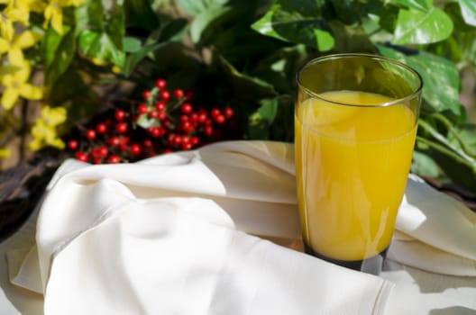 Glass of orange juice outside on table with napkin.