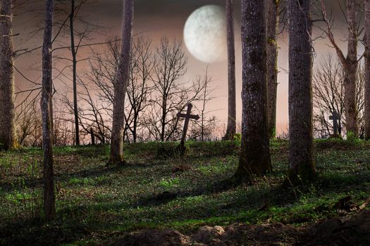 Moon over the cemetery