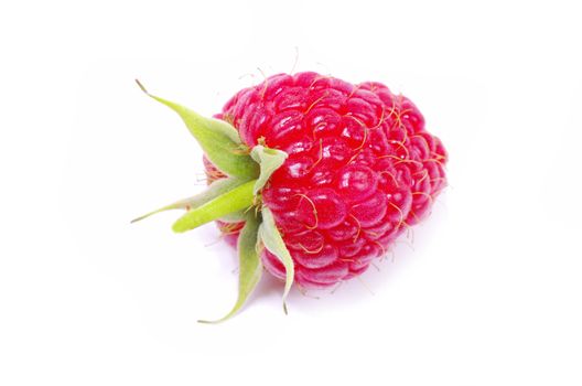 fresh raspberry closeup isolated on white background