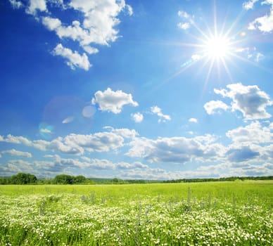 field on a background of the blue sky