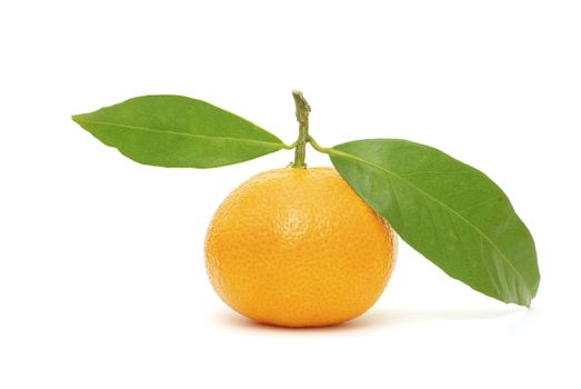  tangerine isolated on a white background