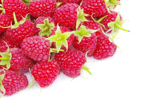 fresh raspberry closeup isolated on white background