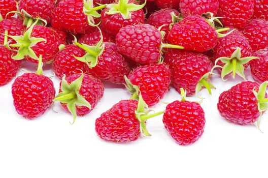  raspberry closeup isolated on white background