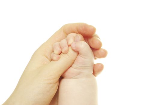 Baby hand holding mother finger isolated on white