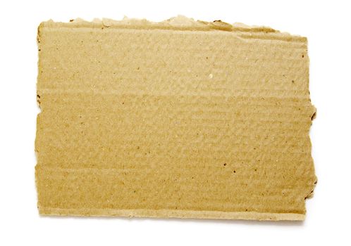 Ripped piece of cardboard on white
